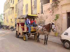 Visite de Saint Louis en calèche