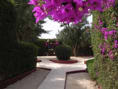 Jardins de l'Hôtel Mermoz