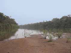 Sénégal, Le Niokolo