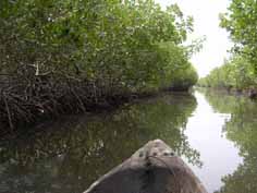 Pirogue en Casamance