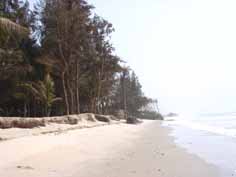 Plage de Casamance